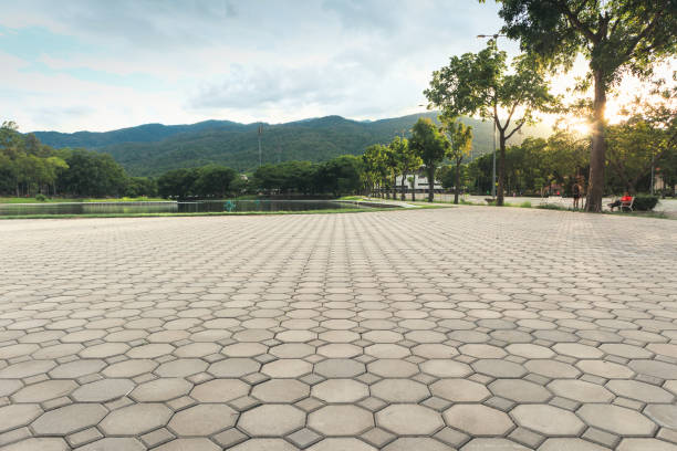 Best Interlocking Driveway Pavers  in Bay City, OR